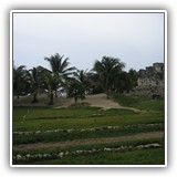Tulum 008