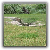 Tulum 030