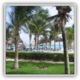 BeachFromPatio3