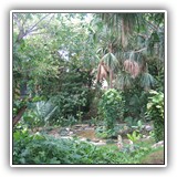 NativeGreenery