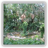 NativeGreenery2